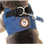 Supplies Dog Collar Car Dog Belt