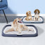 Dog Pet Potty Tray Training Toilet Raised Walls