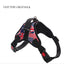 Dog Chain Explosion-Proof Breasted Strap For Walking Dog Leash